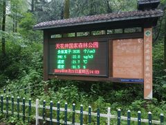 -天花井景区