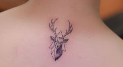 -见雾TATTOO STUDIO
