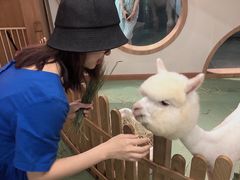 -藦茜花园宠物主题亲子互动体验馆(国顺东路店)
