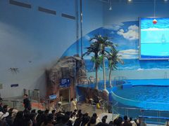 -福州罗源湾海洋世界旅游区
