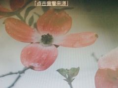 -学习谷日语培训日本留学·多语种外语教学(海淀人大分部)