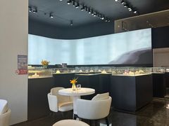 -BLACKSWAN黑天鹅(环球店)