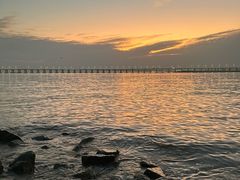 -宝安西湾红树林湿地公园