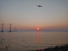 -宝安西湾红树林湿地公园