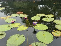 -西湖天地