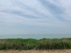 -合肥滨湖国家森林公园