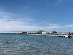 -青海湖国家重点风景名胜区