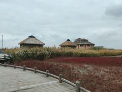 -红海滩国家风景廊道