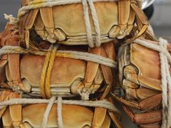 -太湖饭店玉兰厅(自助餐厅)