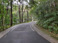 -东湖磨山景区