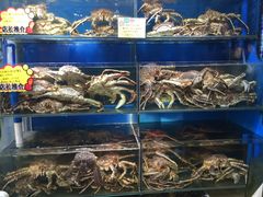 -蚝专家(北滘店)