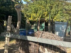 -新塘水果乐园(东洲大道店)