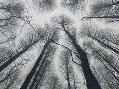 -山王坪喀斯特国家生态公园