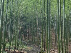 -池州市平天湖风景区