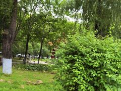 -黑龙江大学