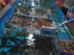 -三亚新鸿港水果一级批发市场