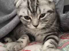 -康乐宝动物医院