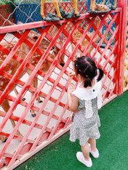 -萌宠亲子动物乐园(槐房万达店)