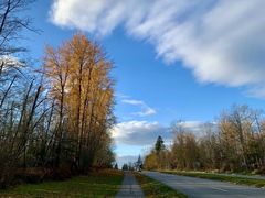 -多乐之日(田林东路店)