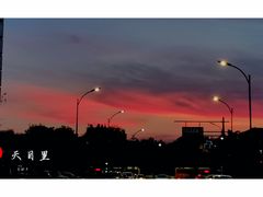 -领鲜天下·焗海鲜·花胶鸡(天目里店)