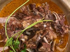 -芦月轩羊蝎子(北蜂窝店)