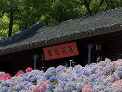 -苏州上方山国家森林公园