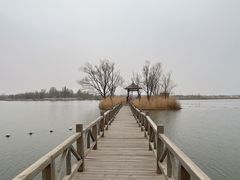 -野鸭湖国家湿地公园