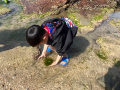 -碧桂园十里银滩