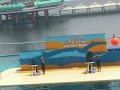 -秦皇岛乐岛海洋王国