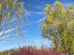 -永定河休闲森林公园