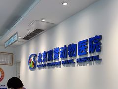 -北京观赏动物医院·24小时大型综合·猫专科·异宠专科