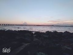 -宝安西湾红树林湿地公园