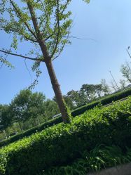-HEYAN荷妍专业脱毛连锁机构