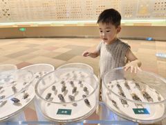 -陕西自然博物馆