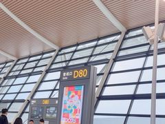 -上海浦东国际机场-T2航站楼