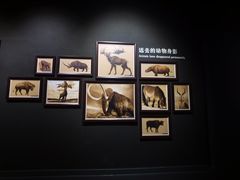 -大庆市博物馆
