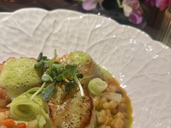 -蝶舍·MAISON PAPILLON