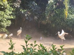 -珠海长隆海洋王国