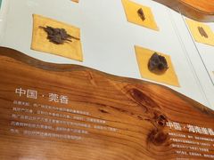 -中国沉香文化博物馆