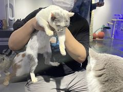 -极木²邸 人与宠物·互动社区