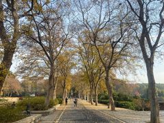 -东湖磨山景区