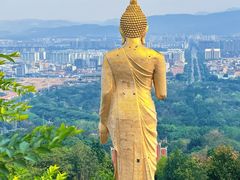 -西双版纳勐泐文化旅游区