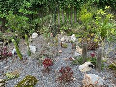 -中国科学院西双版纳热带植物园