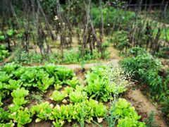 -延安杨家岭革命旧址