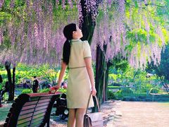 -嘉定紫藤园