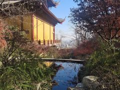 -大伊山景区