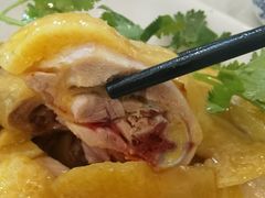 -巫记鸡饭店