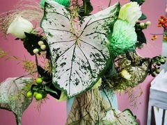-上海鲜花港