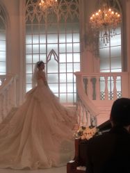 点击看大图 -青禾蒙娜丽莎婚纱摄影(武汉总店)