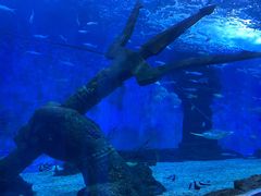 -多彩贵州城极地海洋世界